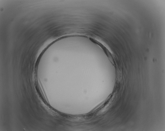 X0000073451101200608251659