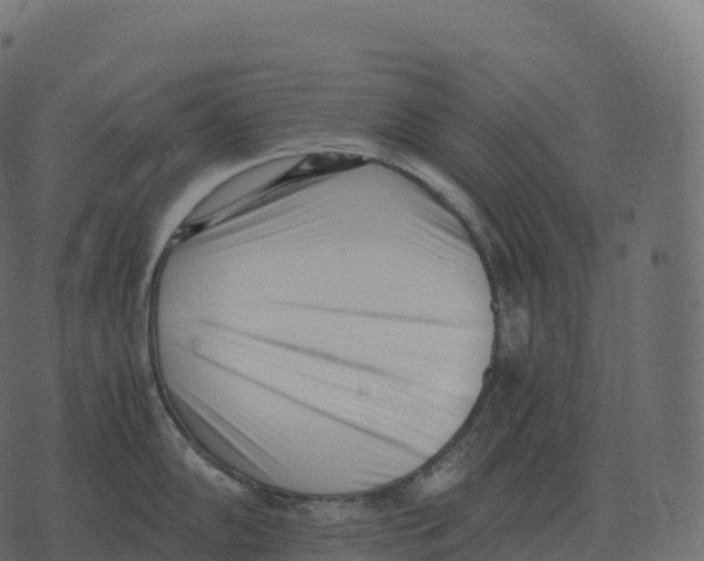 X0000073451102200608251659