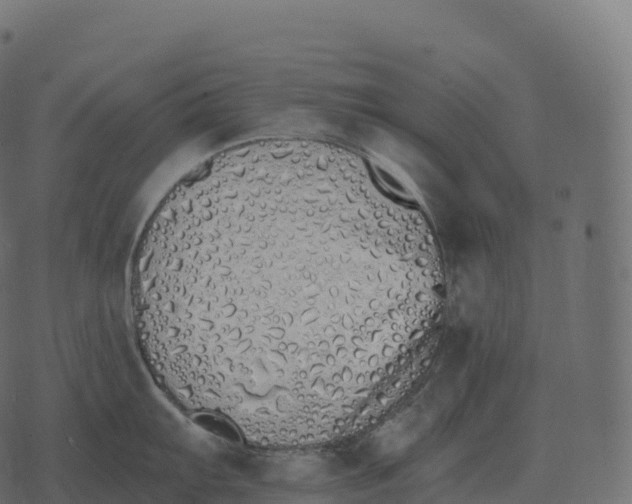 X0000073451103200608251659