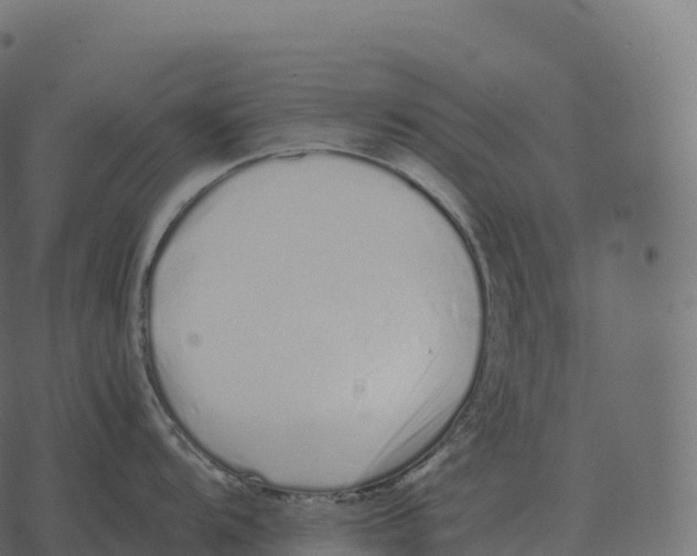 X0000073451104200608251659