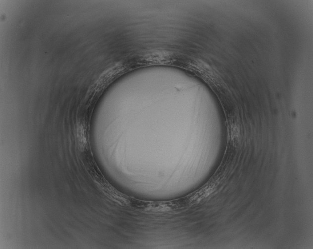 X0000073451106200608251659