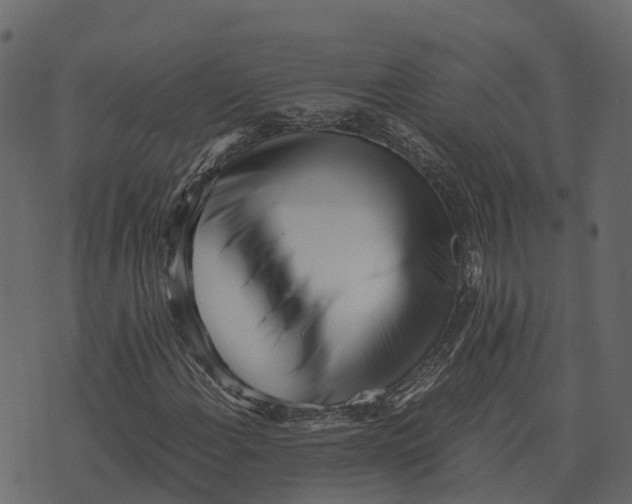 X0000073451108200608251659