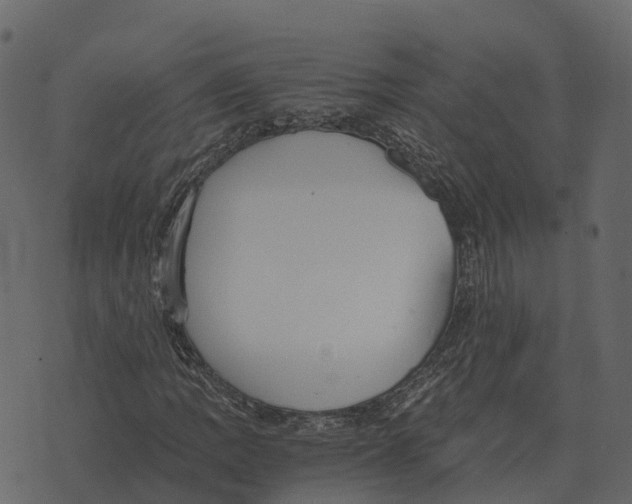 X0000073451109200608251659