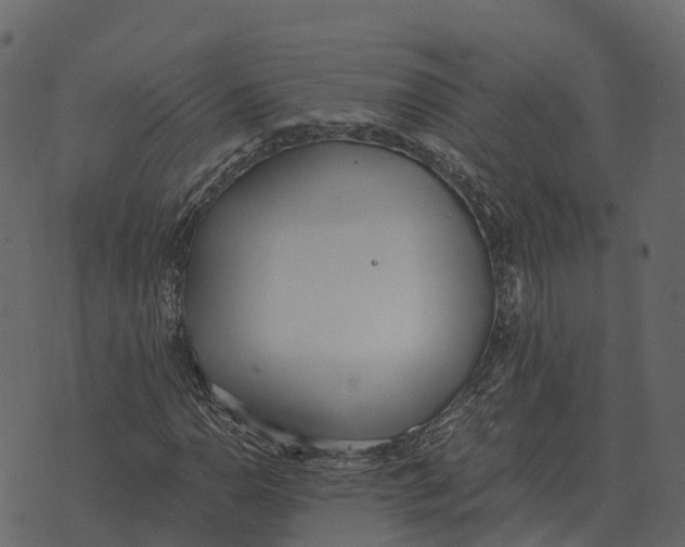 X0000073451110200608251659