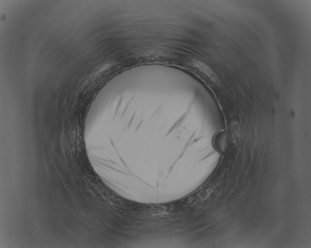 X0000073451111200608251659