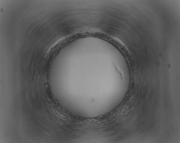 X0000073451112200608251659