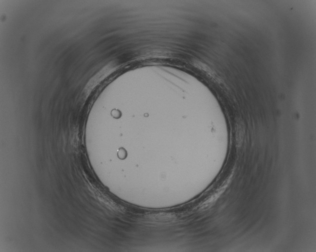 X0000073451113200608251659