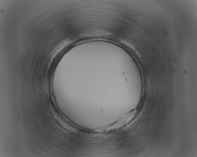 X0000073451114200608251659