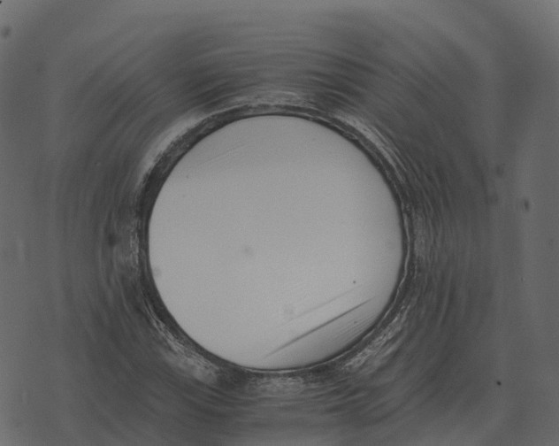 X0000073451115200608251659