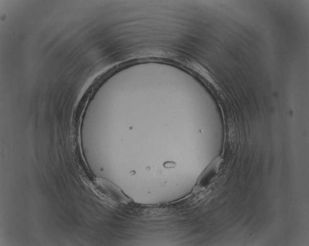 X0000073451116200608251659