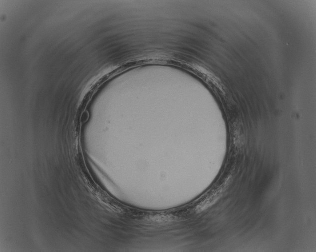 X0000073451117200608251659