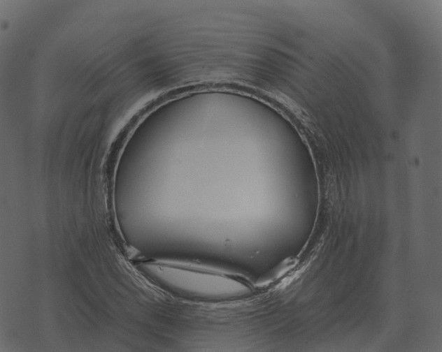 X0000073451118200608251659