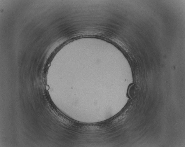 X0000073451119200608251659