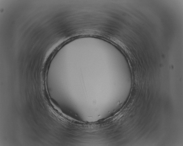 X0000073451120200608251659