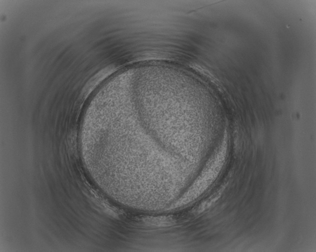 X0000073451121200608251659