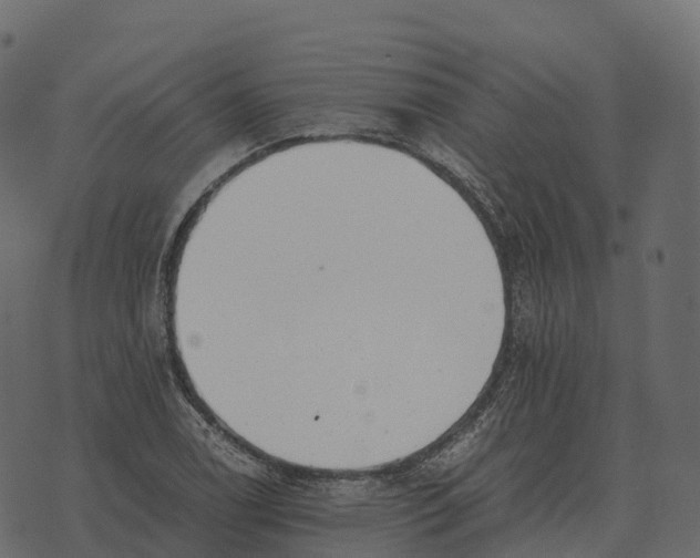 X0000073451122200608251659