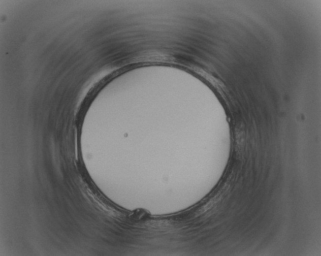 X0000073451123200608251659