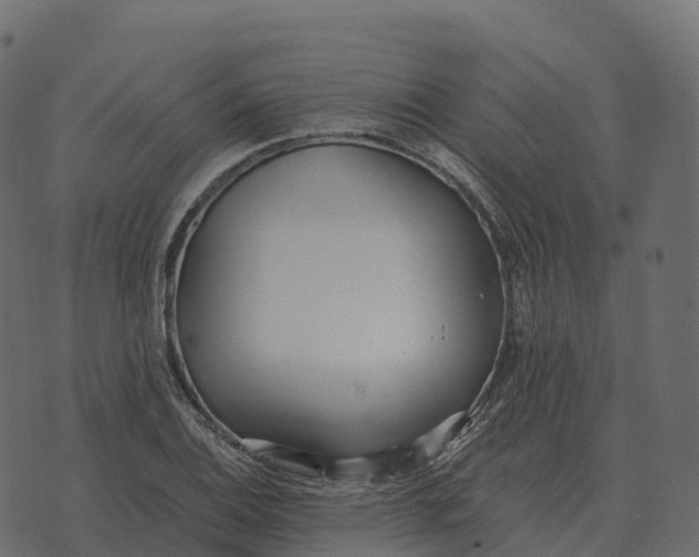 X0000073451124200608251659