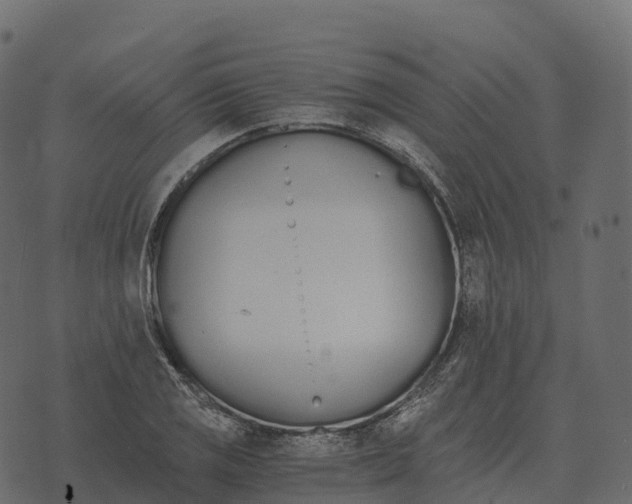 X0000073451125200608251659