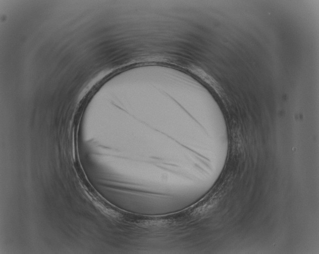 X0000073451127200608251659