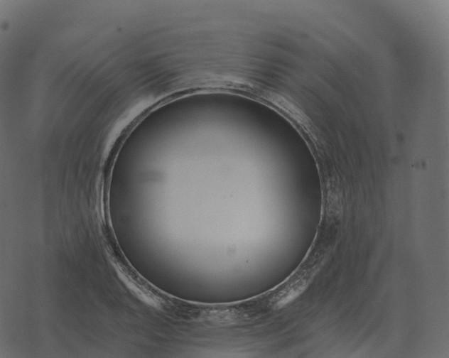 X0000073451128200608251659