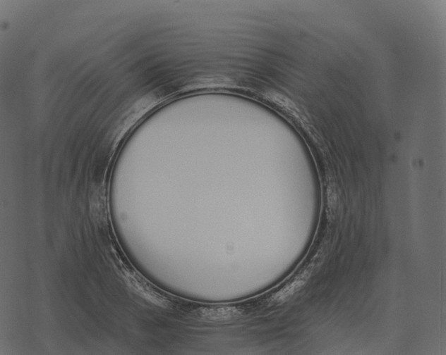 X0000073451129200608251659