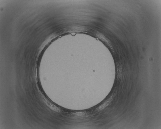 X0000073451130200608251659