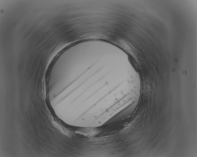 X0000073451132200608251659