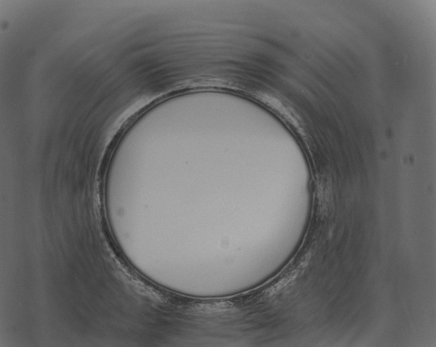 X0000073451133200608251659