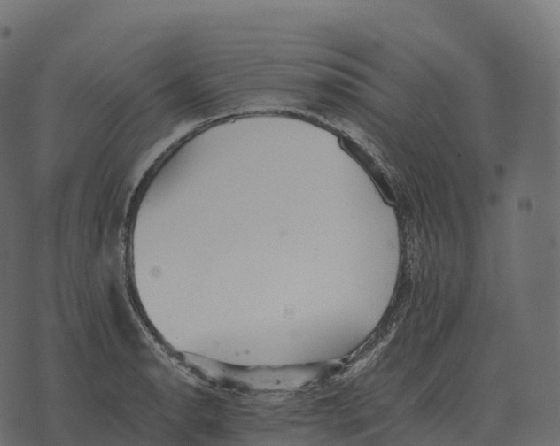 X0000073451134200608251659