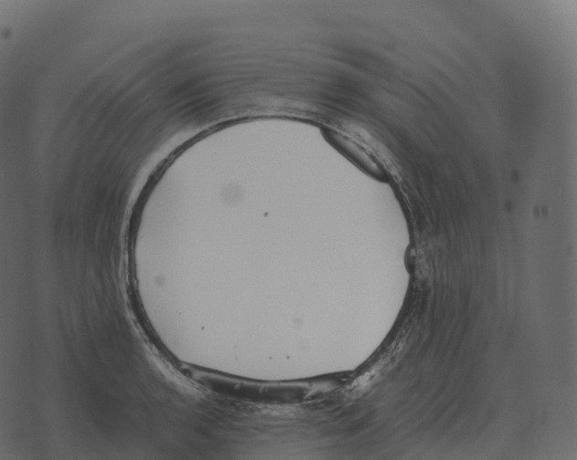 X0000073451136200608251659