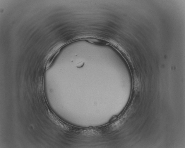 X0000073451137200608251659