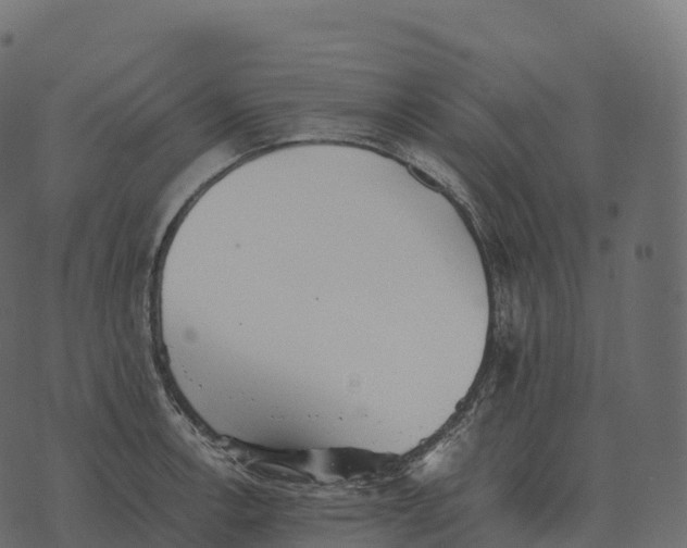 X0000073451138200608251659