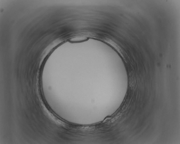 X0000073451139200608251659