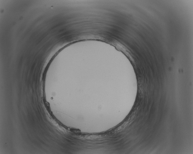 X0000073451140200608251659