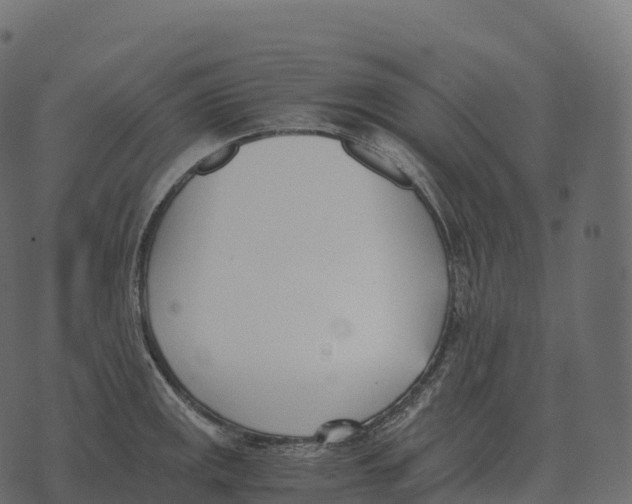 X0000073451141200608251659