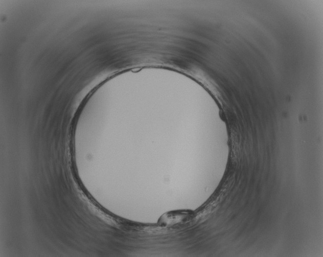 X0000073451142200608251659