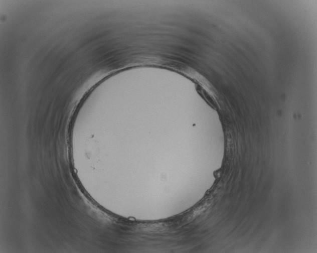 X0000073451143200608251659