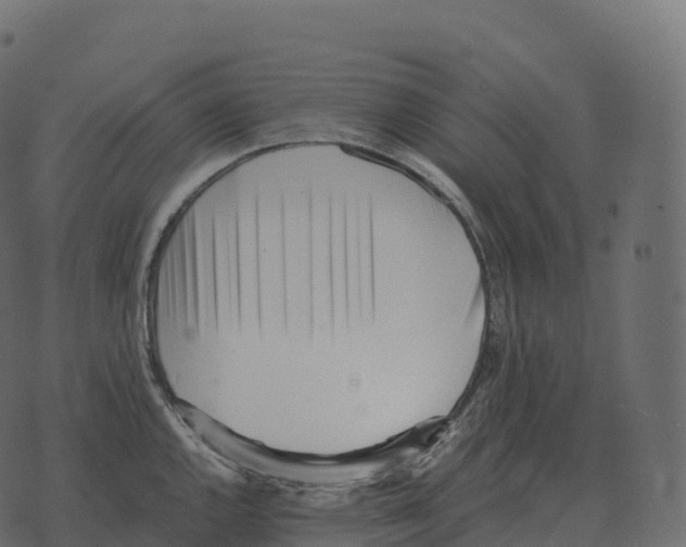 X0000073451144200608251659