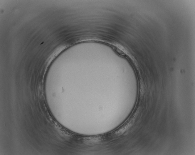 X0000073451145200608251659