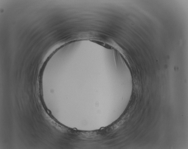 X0000073451147200608251659