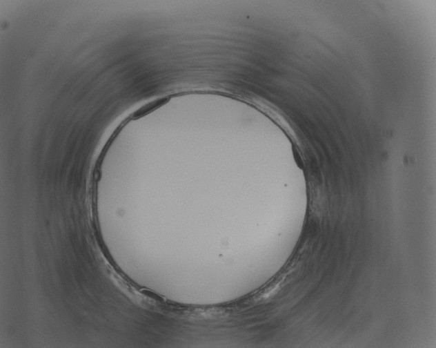 X0000073451148200608251659