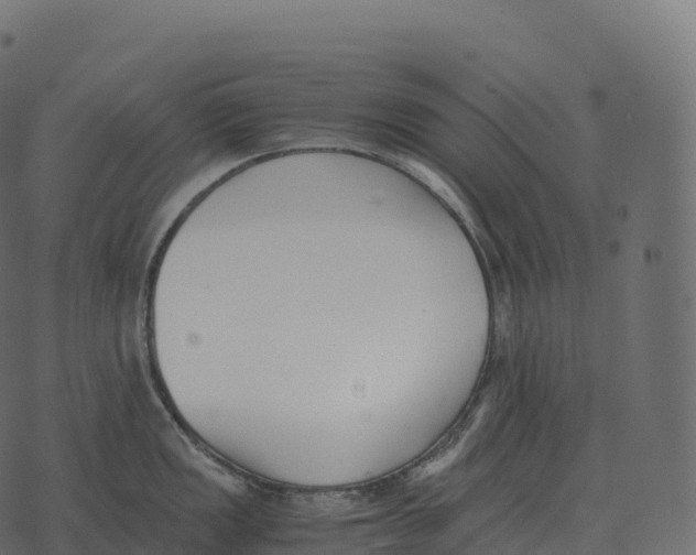 X0000073451149200608251659