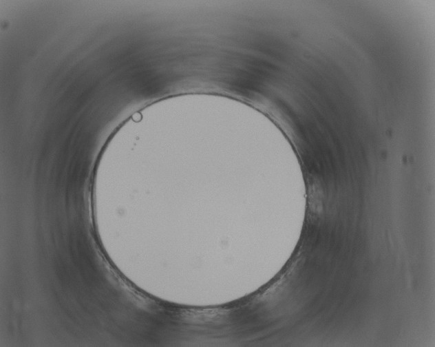 X0000073451150200608251659