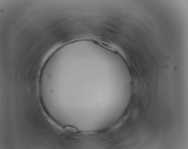 X0000073451151200608251659