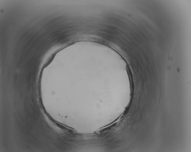 X0000073451152200608251659