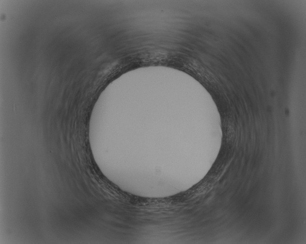 X0000073451153200608251658