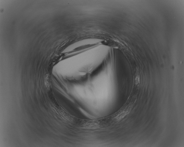 X0000073451156200608251658