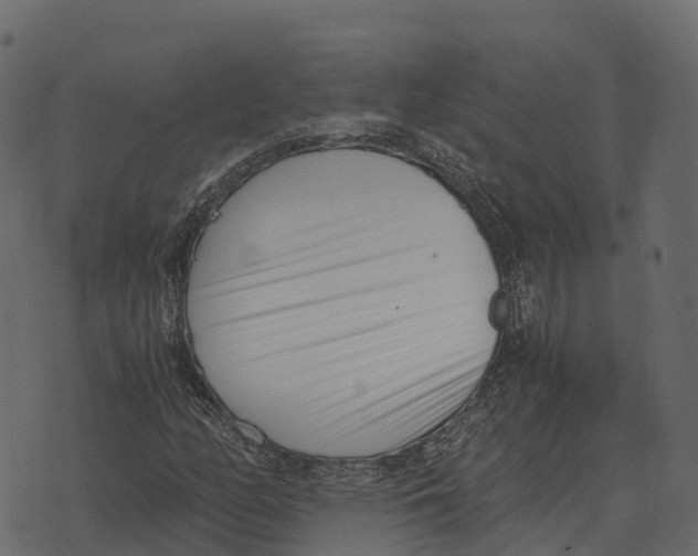 X0000073451158200608251658