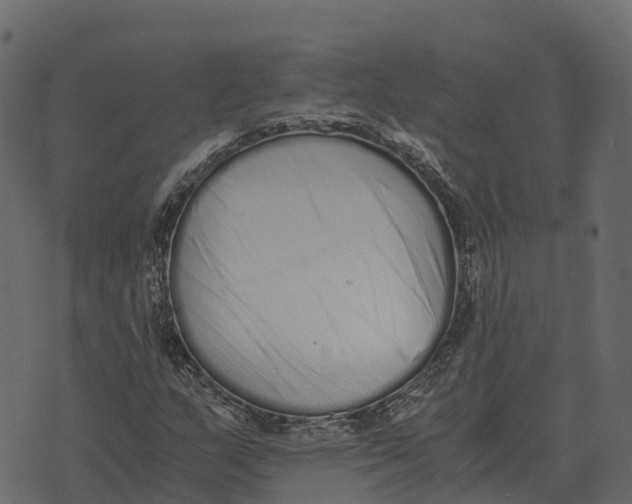 X0000073451159200608251658